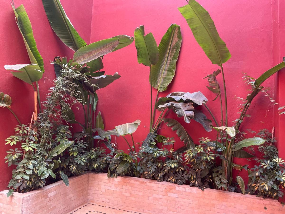 Riad L'Escale De Marrakech مراكش المظهر الخارجي الصورة
